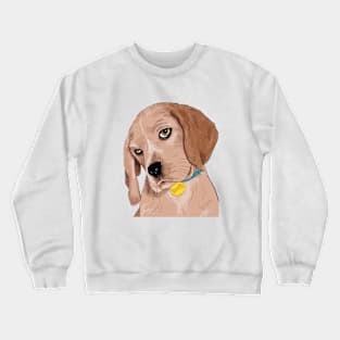 Curious Beagles Crewneck Sweatshirt